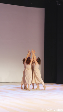 Finesa plesa (21)